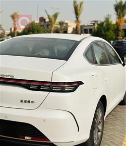 بي واي دي ديستروير 05